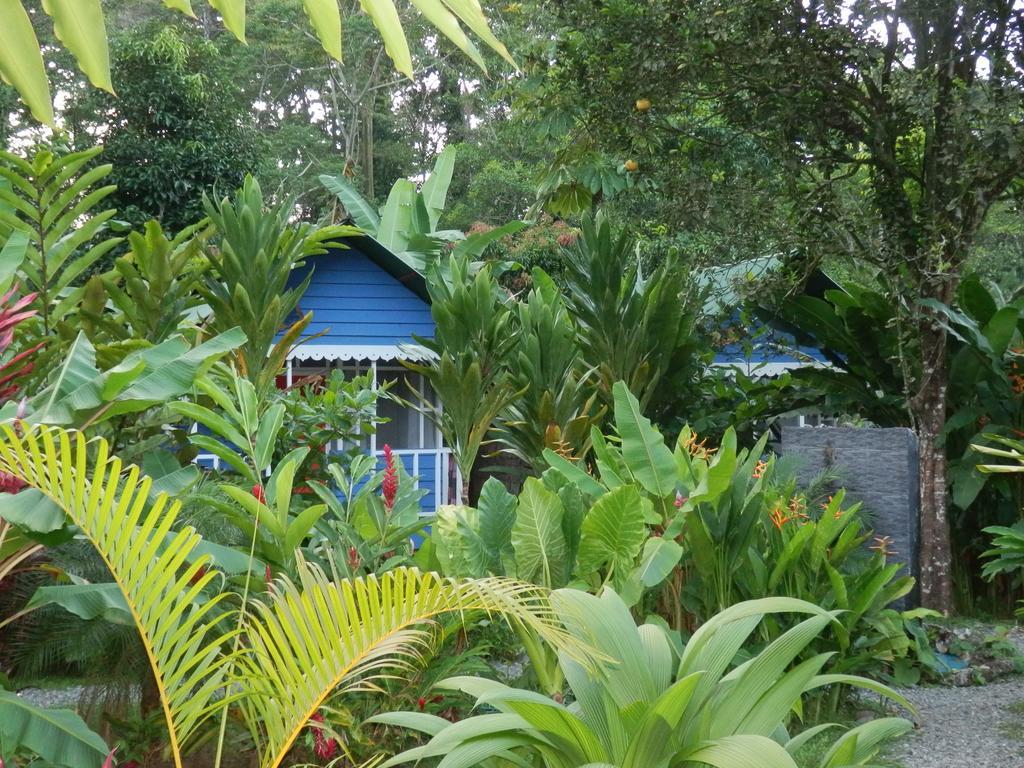 Hotel Casitas Mar Y Luz Puerto Viejo de Talamanca Buitenkant foto