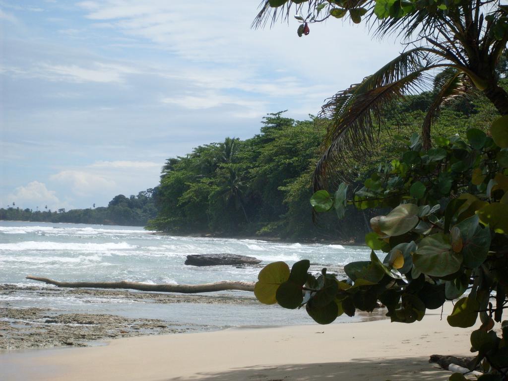 Hotel Casitas Mar Y Luz Puerto Viejo de Talamanca Buitenkant foto