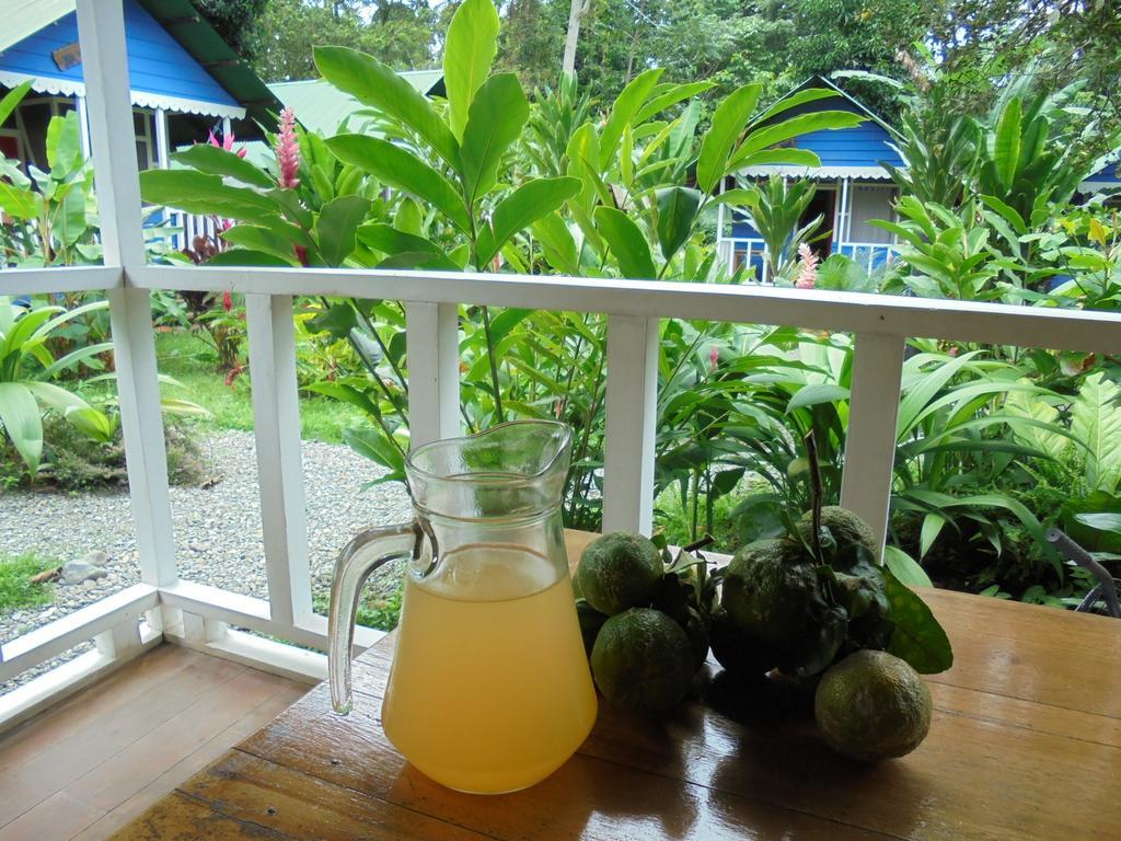 Hotel Casitas Mar Y Luz Puerto Viejo de Talamanca Buitenkant foto