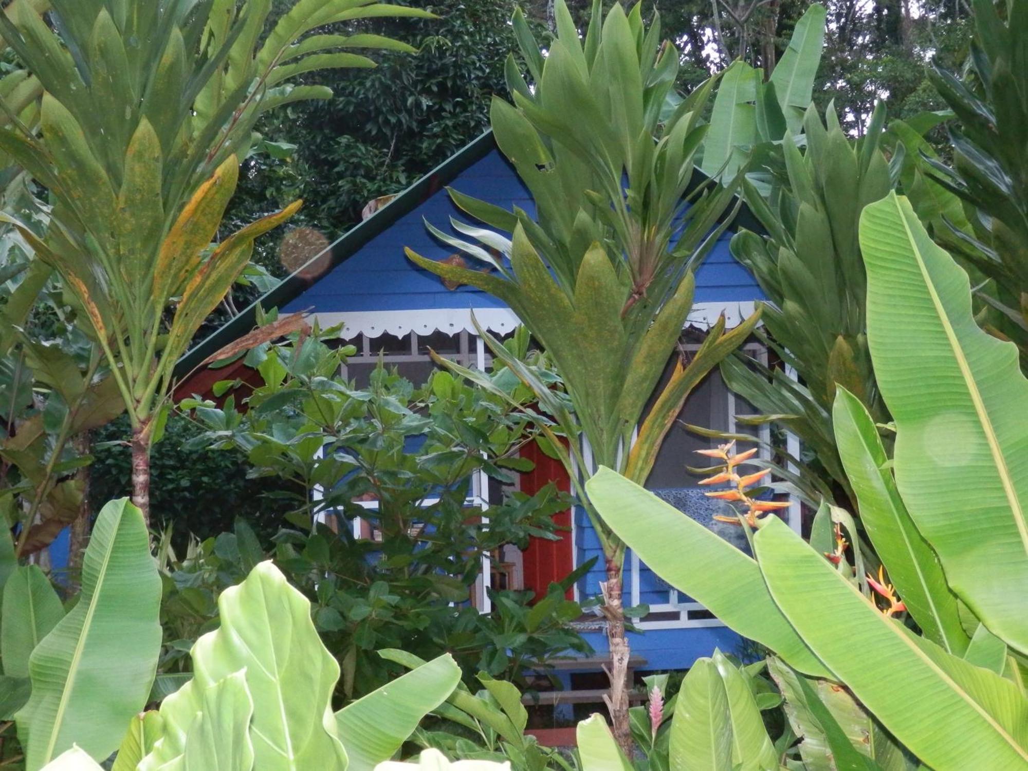 Hotel Casitas Mar Y Luz Puerto Viejo de Talamanca Buitenkant foto